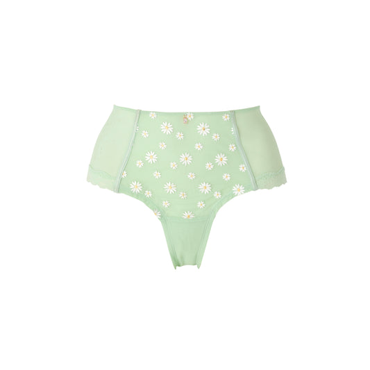 DELICATESSE Shorty GT