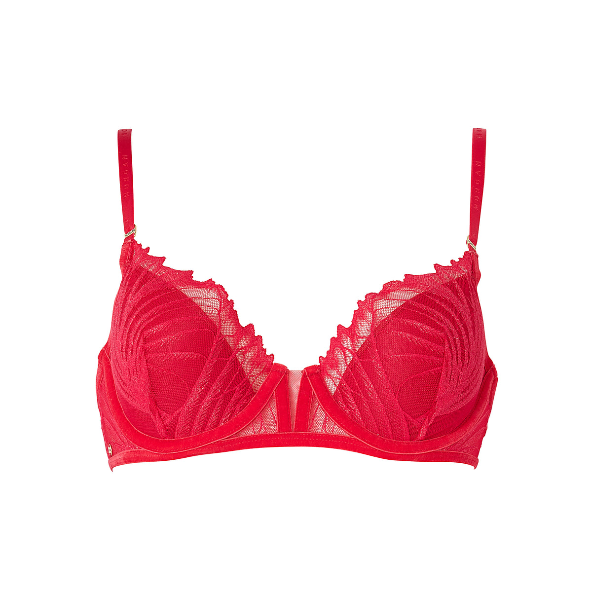 FRANCESCA SG Coques